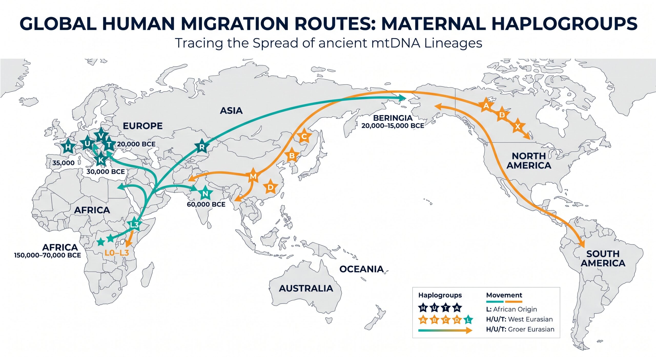 World map with stylized migration routes of maternal haplogroups like H, U, and T, showing deep ancestral movements over thousands of years.