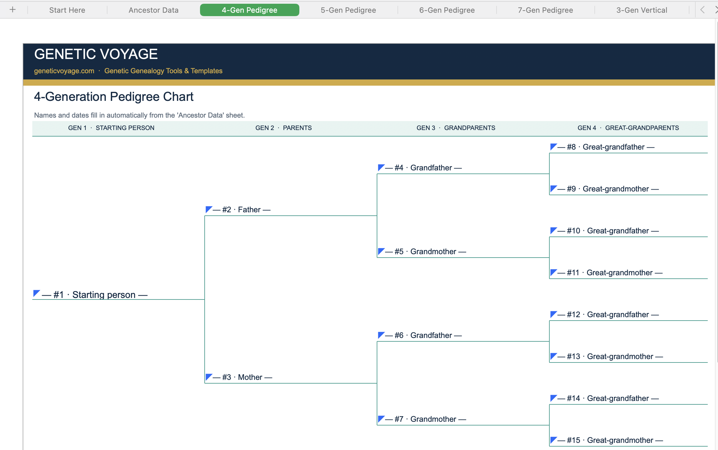 Preview of the Genetic Voyage Family Tree Template Pack with pedigree charts and vertical family trees