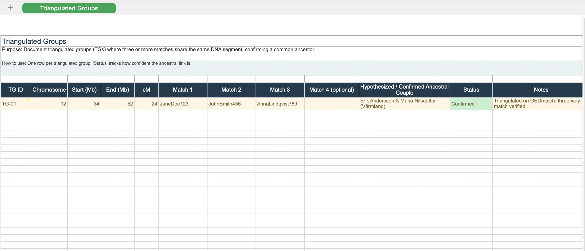 Preview of the Genetic Voyage Triangulated Group Excel Template
